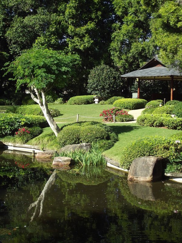 Ruisseau paisible : créer un jardin japonais harmonieux